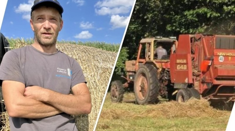 В Германии с луга украли трактор «Беларус» времен ГДР В Германии с луга украли трактор «Беларус» времен ГДР