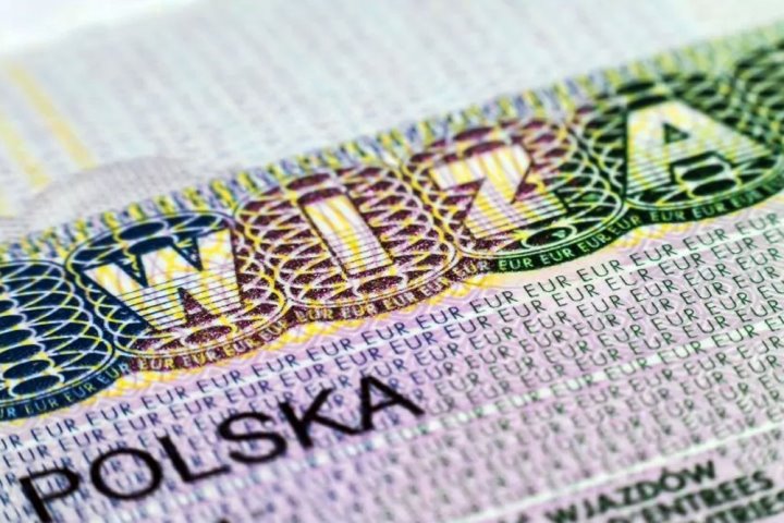 На семью — $700. В Польше будут судить белоруса за оформление фиктивных документов на визы На семью — $700. В Польше будут судить белоруса за оформление фиктивных документов на визы