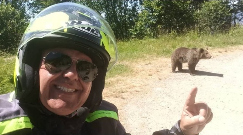 Селфи с медведем стоило жизни — подробности дикой истории Селфи с медведем стоило жизни — подробности дикой истории
